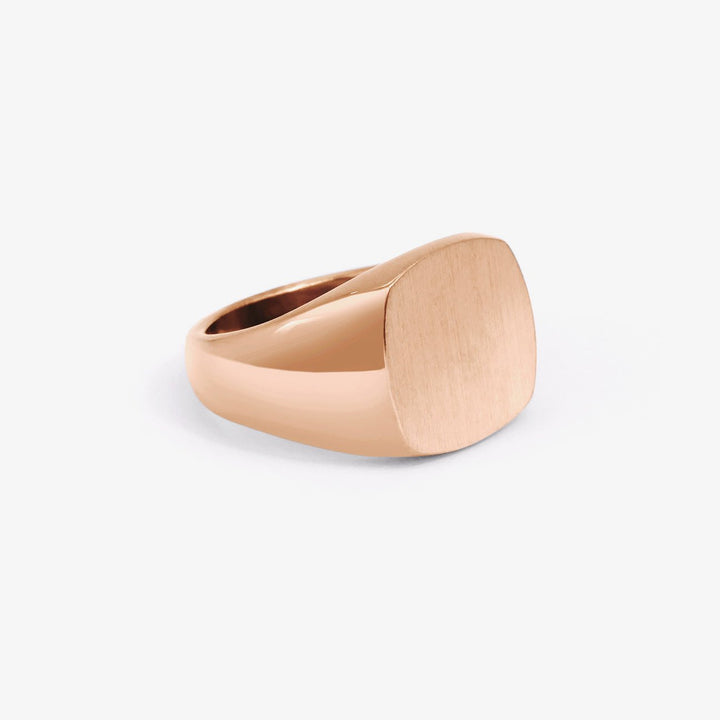 Zénobie - Daniel de Guy