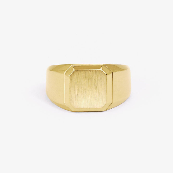 Irénée - Daniel de Guy