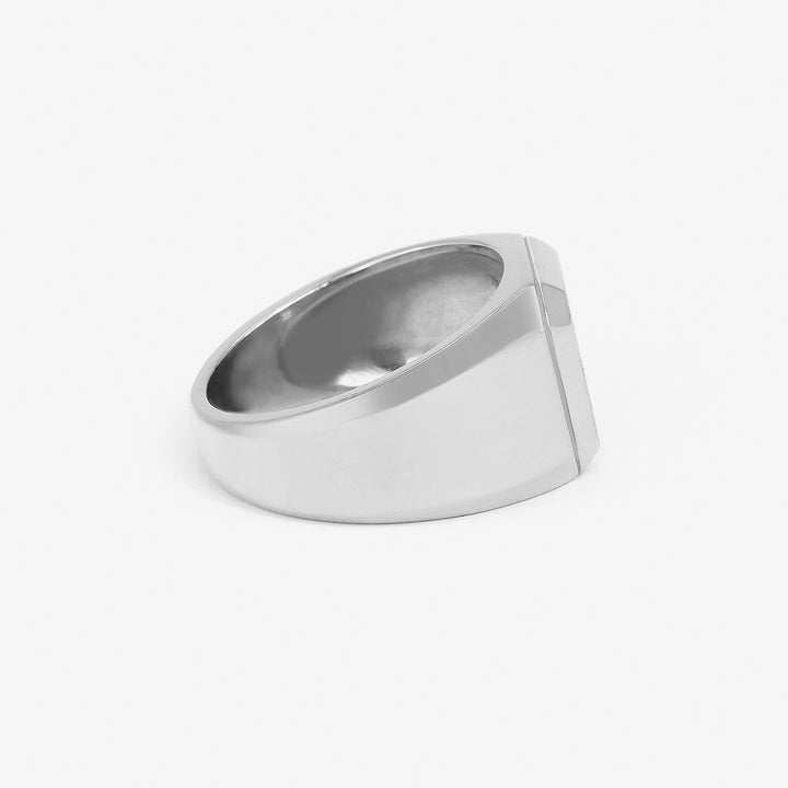 Irénée - Daniel de Guy