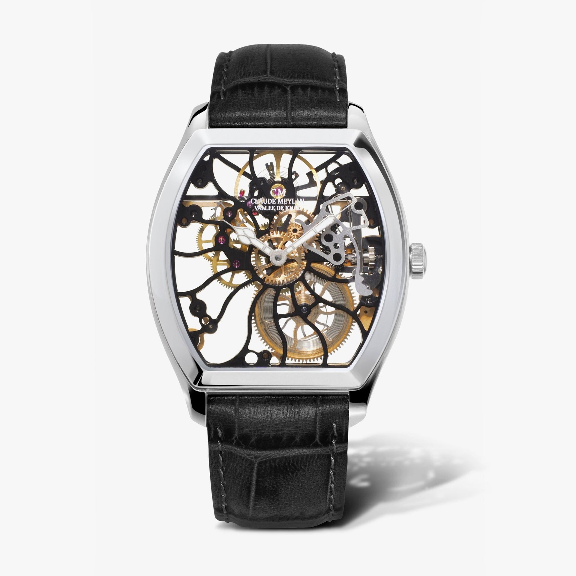 Tortue 6047 - B - Daniel de Guy