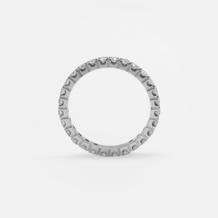 Alliance Rivière de Diamants - Daniel de Guy