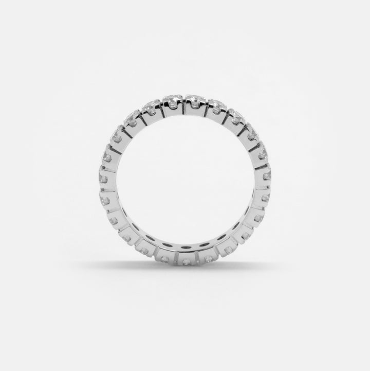 Alliance Rivière de Diamants - Daniel de Guy