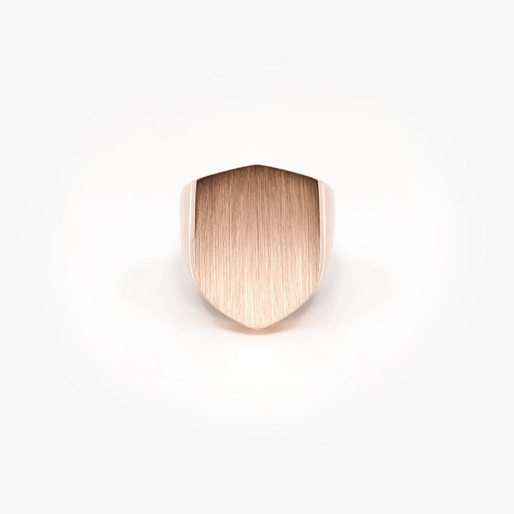 Arès - Daniel de Guy