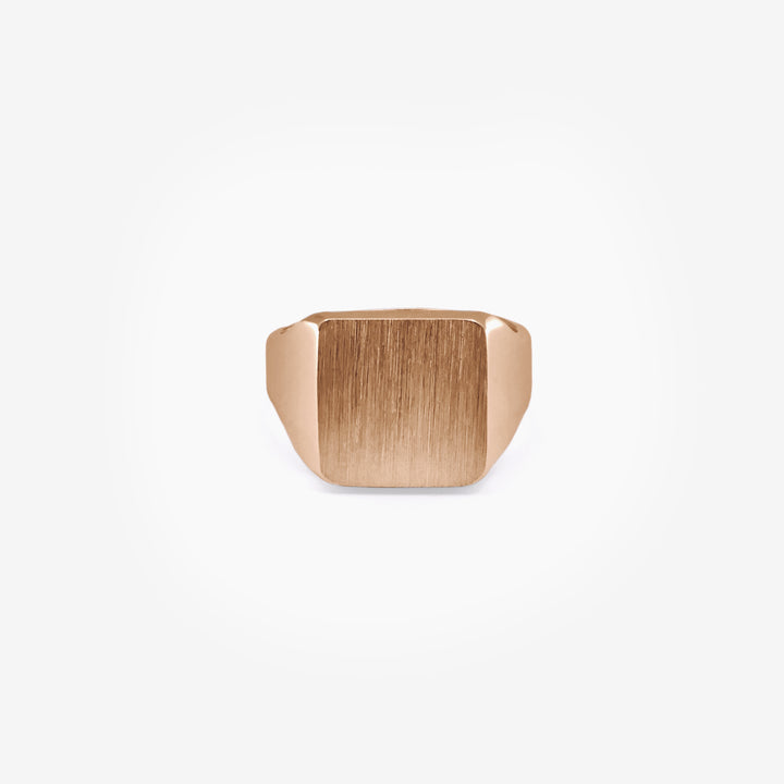 Léni - Daniel de Guy