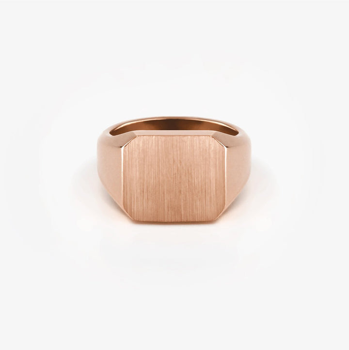 Hestia - Daniel de Guy